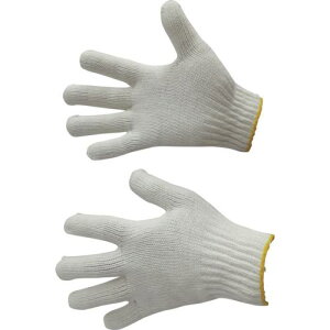 xm aR {s10Dztki:8100ly4290952×10:0z[ʓrς][@lEƏ][O][Xs]