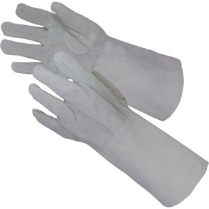 xm nڗpv5{w 1oܓs10otki:3014ly4290993×10:0z[ʓrς][@lEƏ][O][Xs]