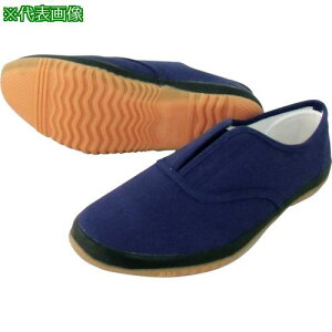 쑽 낤 DK500 lCr[ 23.5ki:DK500NV23.5ly4300624:0z[ʓrς][fO][Xs]