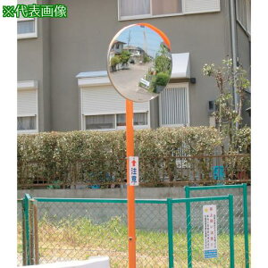 ϐ WX~[uW^v^N1000 xtki:KM1000Sly4305820:0z[ʓrς][@lEƏ][O][Xs]