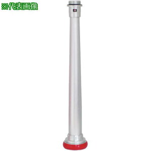 IWA hp rN^[ǑpCv Xg[g(S^)Ski:04STR50Aly4313667:0z[ʓrς][fO][Xs]