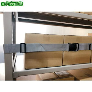 eB[GtT[rX X`[bNp h~xg C[K[hdʕbNp2700mm(obN) 1{ x100kgki:EGR527OGly4320412:0z[ʓrς][fO][Xs]