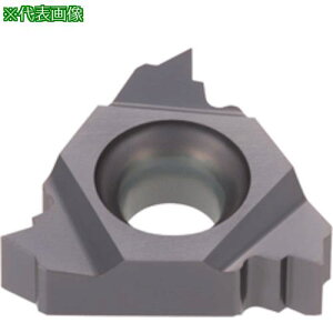 ���^���K���C �^���O�E�X���b�h �O�a�pNPT�˂��C���T�[�g ER-NPT AH8015�s5���t�k�i��:16ER14NPTM�l�y4324705×5:0�z[�����ʓr���ς�][�f�O���][�X�����s��]