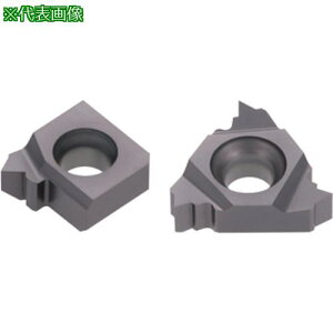 ���^���K���C �^���O�E�X���b�h ���a�pNPT�˂��C���T�[�g IR-NPT AH8015�s5���t�k�i��:16IR14NPTM�l�y4327880×5:0�z[�����ʓr���ς�][�f�O���][�X�����s��]