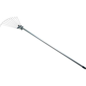 c O~j܂Ŋېki:55536ly4348422:0z[Xs]