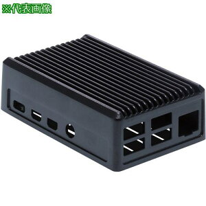 ^J` Raspberry Pi 4B p q[gVNP[Xki:RPH4BNBly4354802:0z[ʓrς][fO][Xs]
