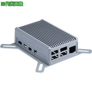 ^J` Raspberry Pi 4B p q[gVNP[Xki:RPH4BFNSly4354803:0z[ʓrς][fO][Xs]
