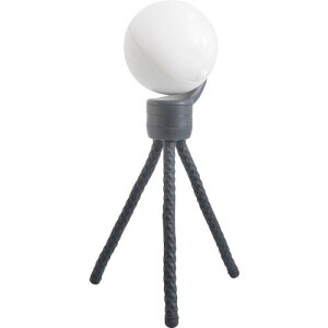 RITEX [dǂłZT[Cgki:ASC900ly4357465:0z[Xs]