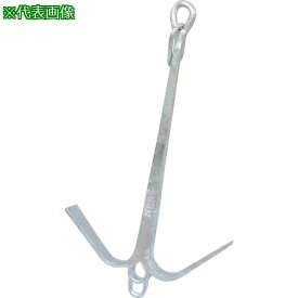 ■IWA 鉄製 唐人錨(碇)〔品番:54TJI07SS〕【4377713:0】[送料別途見積り][法人・事業所限定][外直送][店頭受取不可]