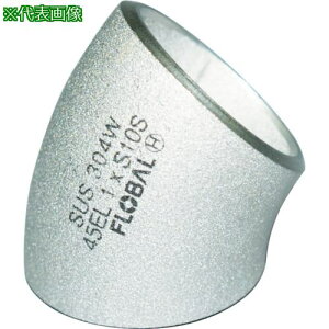 ��FLOBAL 45°�G���{(�����O)S10S 09100023�k�i��:B45EL10S25A�l�y4445317:0�z[�X�����s��]