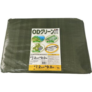 ^JCN #3000 ODO[V[g 7.2mx9.0mki:OGS16ly4447069:0z[Xs]