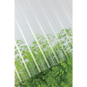 ^L |Jg 32g 7 610NAki:217767ly4462882:0z[DS][Xs]