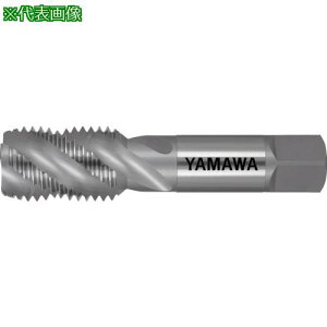 �����}�� �X�p�C�����^�b�v SP P3 M20X2.5�k�i��:SPM20X2.5�l�y4511816:0�z[�X�����s��]
