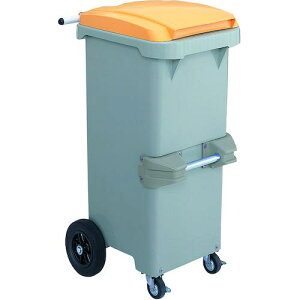 ϐ TCNJ[g110 ]^ ΁ki:RCN110Gly4517697:0z[@lEƏ][O][Xs]