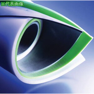 ��Taica 1691001 NP�Q�� �ΐF 450mmX2000mmX3mm�k�i��:NPT3�l�y4520874:0�z[�X�����s��]