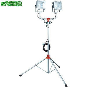 n^ yؔpԁz hJ^X^htnQCg 300W×2 100Vڒntd5mki:PHCX305KNly4538579:0z[DS][Xs]