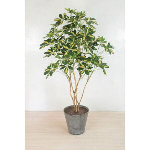 O[NX lH/lHϗtA VFtki:6300033759ly4568610:0z[ʓrς][@lEƏ][O][Xs]