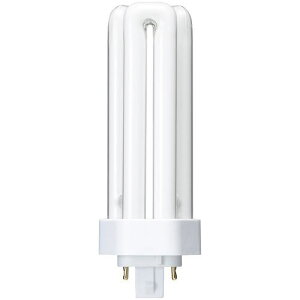 YAZAWA RpNg`u 32` dFki:FHT32EXLly4574278:0z[ʓrς][fO][Xs]