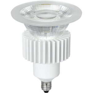 YAZAWA LEDRnQ100W`10°ki:LDR10LNE11DHly4575846:0z[ʓrς][fO][Xs]