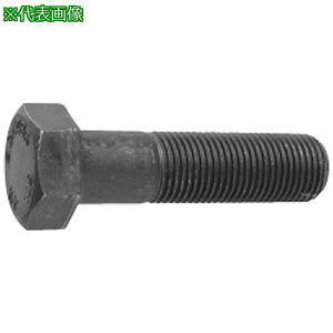 ��SUNCO 10.9 �Z�p�{���g �ז� P1.5 12×130×36 (1�{��)�k�i��:B000040501201300001P�l�y4596906:0�z[�����ʓr���ς�][�f�O���][�X�����s��]