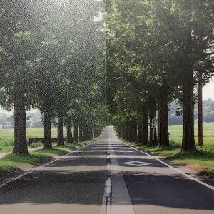 ���O���[���N���X �t�@�T�� �t���X�g/�}�b�g SH2EMLA ���[�U���k 1270mmX30m�k�i��:6300034329�l�y4658234:0�z[�@�l�E���Ə�����][�O������][�X�����s��]