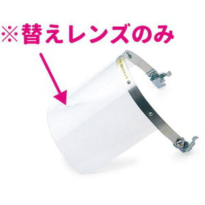 P hЖʗpփY NS-201pki:LENSFORNS201DAIly4668742:0z[ʓrς][fO][Xs]