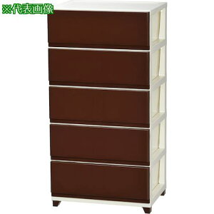 ��JEJ�A�X�e�[�W �f�R�j�[���C�h�`�F�X�g5�i IV�u���E���s2����t�k�i��:108614�l�y4673331×2:0�z[�����ʓr���ς�][�@�l�E���Ə�����][�O����][�X�����s��]