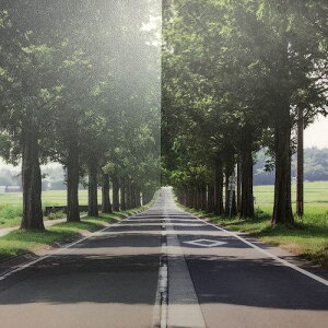 ���O���[���N���X �t�@�T�� �t���X�g/�}�b�g SH2MACR-I �}�b�g�N���X�^�� �A�C 1524mmX30m�k�i��:6300034369�l�y4680304:0�z[�@�l�E���Ə�����][������][�X�����s��]