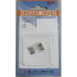 ym[q KXǃq[Y (2) 1A 5.2×20mmki:FPFGMB250V1A2PPBFly4701895:0z[Xs]