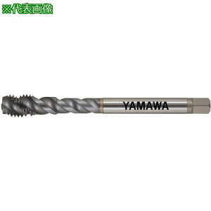 �����}�� Z-PRO �R�[�e�B���O�X�p�C�����^�b�v �N�[���z�[�� VUSP CH P3 M12X1.25�k�i��:VUSPCHP3M12X1.25�l�y4702147:0�z[�X�����s��]