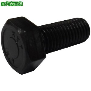 ���R�m�G ���x�敪12.9�Z�p�{���g �S�˂� 16x35�s5�{���t�k�i��:BT129F1635�l�y4706812×5:0�z[�����ʓr���ς�][�f�O���][�X�����s��]