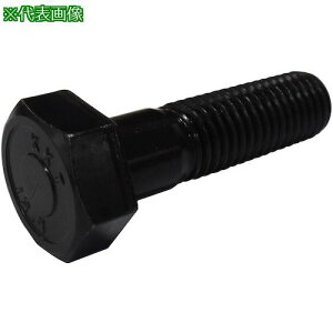 ���R�m�G ���x�敪12.9�Z�p�{���g ���˂� 16x45(40�{��)�k�i��:BT129H164540P�l�y4706823:0�z[�����ʓr���ς�][�f�O���][�X�����s��]