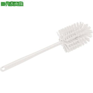 ^JTS HP{guV̌^80ki:54206ly4724578:0z[Xs]