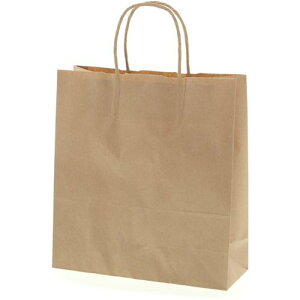 X 񂰎 25`[obO 26-10 Nn 50ki:003272221ly4726187:0z[ʓrς][fO][Xs]