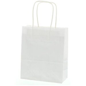 X 񂰎 25`[obO 20-1 Nn 50ki:003265010ly4726191:0z[ʓrς][fO][Xs]