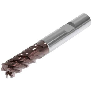 ���Z�R JABRO Solid2 �G���h�~���k�i��:JS755160E2R600.3Z5HXT�l�y4728098:0�z[�����ʓr���ς�][�@�l�E���Ə�����][�f�O���][�X�����s��]