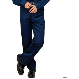  xXbNX2203(Nԗp)AWX^[ 4Lki:22034Lly4766568:0z[ʓrς][fO][Xs]