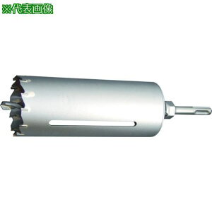 ���T���R�[ �e�N�m �I�[���R�A�h����L150 LV�^�C�v SDS���k�i��:LV90SDS�l�y4810872:0�z[�X�����s��]