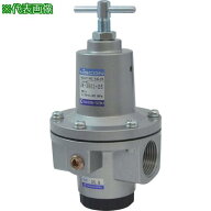 ■日本精器 レギュレータ 20A 中圧用〔品番:BN3R01H120〕【4840852:0】[店頭受取不可]