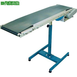 ��TS �y�׏d�p�x���g�R���x�� �g���t���^�C�v BCT-225WX3000L-B15�k�i��:BCT225WX3000LB15�l�y4851875:0�z[�����ʓr���ς�][�@�l�E���Ə�����][�O����][�X�����s��]