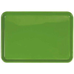 ��EBM �s�m NS�g���[ 33cm �e�B�[�O���[�� 330X235XH16�k�i��:1523630�l�y4852470:0�z[�����ʓr���ς�][�f�O���][�X�����s��]