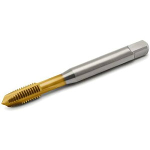 ���Z�R �^�b�v�k�i��:MTPM6X1.00ISO6GTBV005�l�y4897364:0�z[�����ʓr���ς�][�f�O���][�X�����s��]
