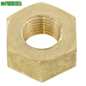 ��SUNCO ECO-BS�i�b�g(1�� B=24(�ז� M16�z�\��1.25(1�{����)�k�i��:M0010C0501600000001P�l�y4898056:0�z[�����ʓr���ς�][�f�O���][�X�����s��]