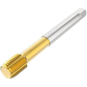 ���Z�R �^�b�v�k�i��:T33FSN09C057162022R�l�y4906809:0�z[�����ʓr���ς�][�@�l�E���Ə�����][�f�O���][�X�����s��]