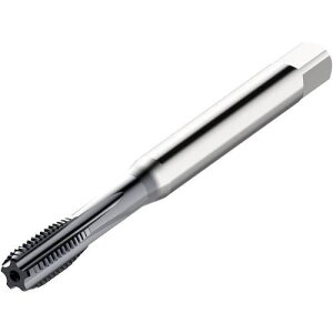 ���Z�R �^�b�v�k�i��:MTSM8X1.25ISO6HXXEK101A�l�y4908458:0�z[�����ʓr���ς�][�@�l�E���Ə�����][�f�O���][�X�����s��]