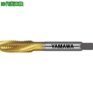 } R[eBOʂ茊pXpC^bv AU+SL P3 M12X1.25ki:AUSLP3M12X1.25ly4947436:0z[Xs]