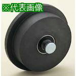�����{�V �t�W���C�����d�ʌˎ� L�^(�g���^) 75mm �Ԃ̂�(�c�_�t)�k�i��:R75LN�l�y4952284:0�z[�����ʓr���ς�][�f�O���][�X�����s��]