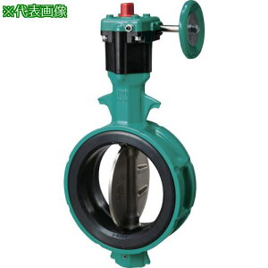 ���b 700Z-2F JIS10K ADC12/SCS13/EPDM 100A�k�i��:700Z2F100S13E�l�y4954491:0�z[�X�����s��]