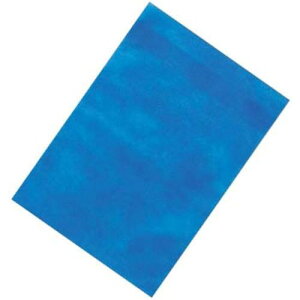 EBM Ɩp Ƃ TG[X  u[(100)250X350mmki:1130820ly4955658:0z[ʓrς][fO][Xs]