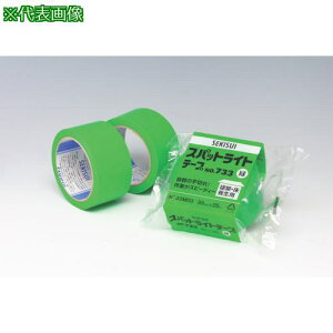 ϐ XpbgCge[vNo.733 38×50ki:N733M12ly4977050:0z[Xs]